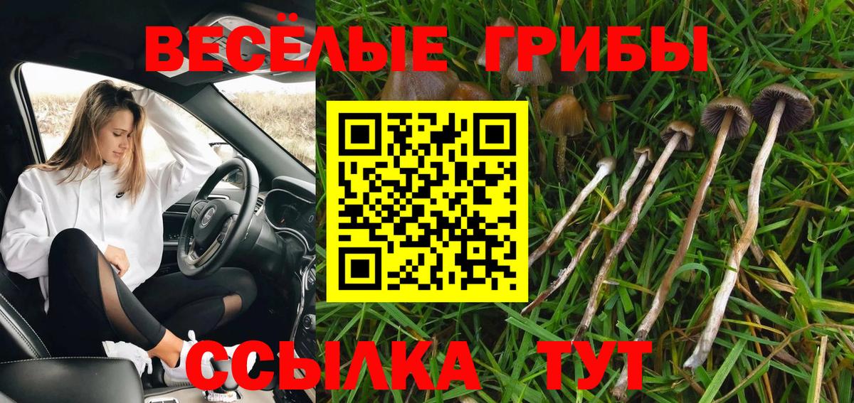 Галлюциногенные грибы мицелий  Вход с VPN  Галлюциногенные грибы Magic Shrooms  Курск 